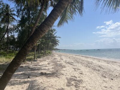 Beach in Nyali
