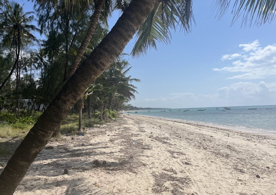 Beach in Nyali